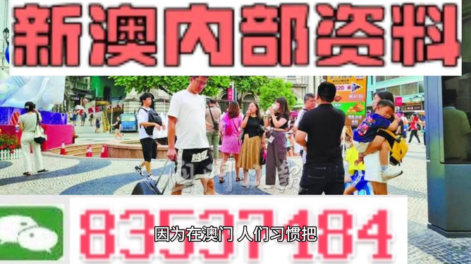 新澳门2024年资料大全管家婆，精准解答解释落实_3D39.29.63