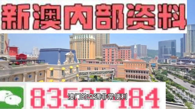 澳门王中王一肖一特一中，精准解答解释落实_3D81.24.24