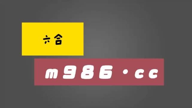 白小姐一肖一码开奖，完美解答解释落实_iPad40.79.56