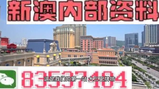 2024新澳门正版免费资料，精准解答解释落实_3D31.47.89