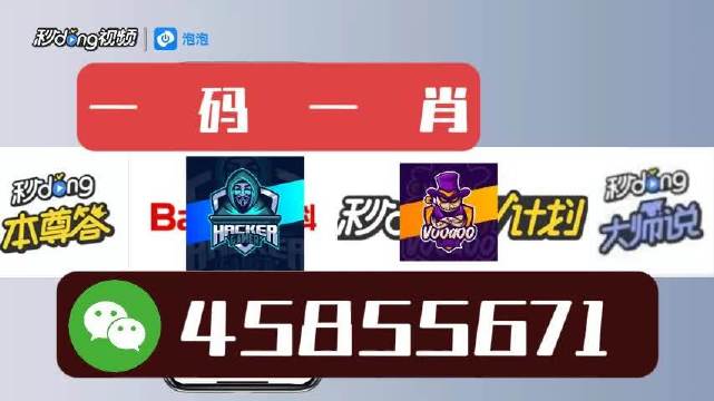 白小姐一肖一码2024年，经典解答解释落实_VIP81.62.55