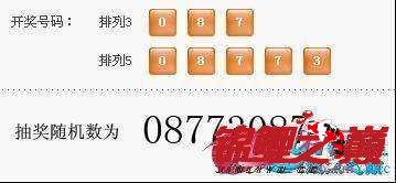 2024年正版澳门资料免费大全，经典解答解释落实_V95.25.26