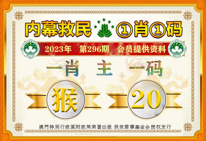 新澳门一肖一码精准资料公开，经典解答解释落实_3D90.33.22