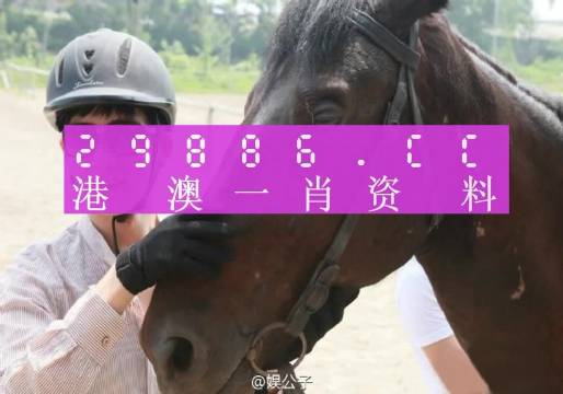 澳门一肖一码必中一肖一码，经典解答解释落实_WP64.32.14